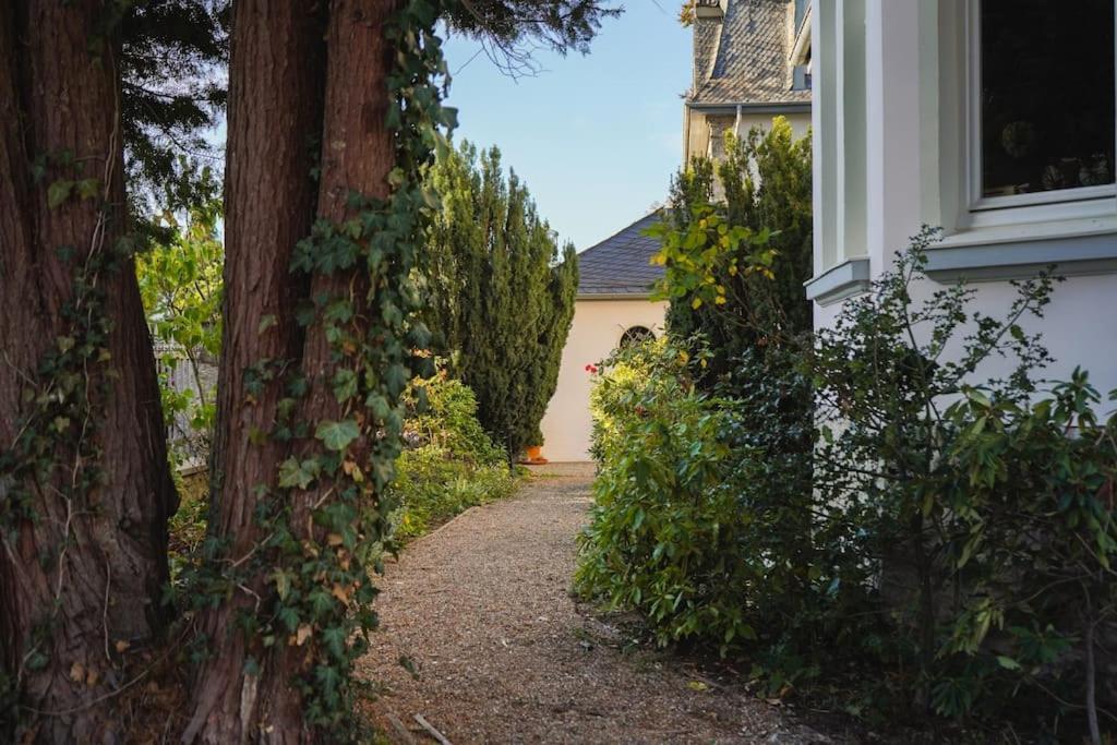 Villa Rosa - Sky Detmold Exteriér fotografie