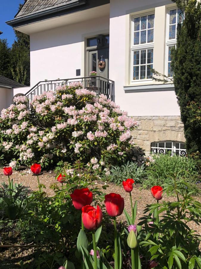Villa Rosa - Sky Detmold Exteriér fotografie
